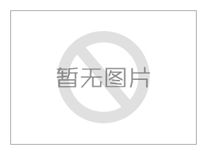 可逆式抽水蓄能機(jī)組啟動(dòng)調(diào)試導(dǎo)則DLT2593-2023電力行業(yè)標(biāo)準(zhǔn)電子版下載